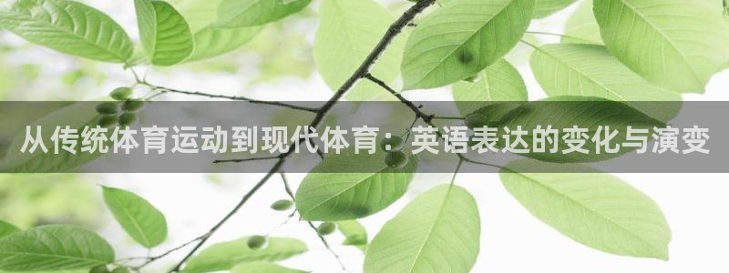 oety欧亿体育官网下载：从传统体育运动到现代体育：