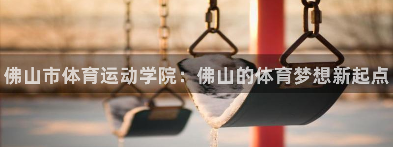 欧亿体育官方正版app代理：佛山市体育运动学院：佛山