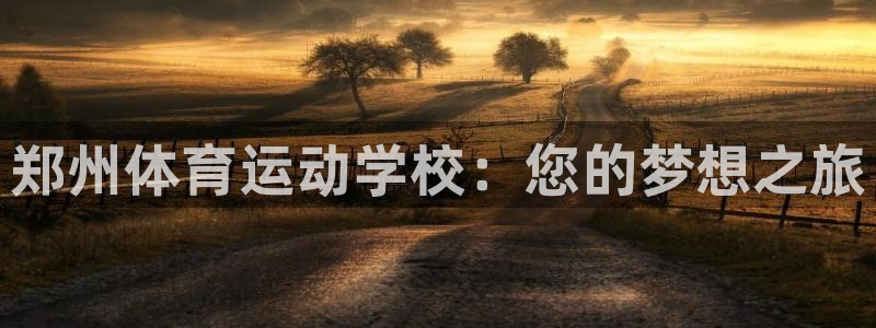 oety欧亿体育官网下载是干嘛的公司：郑州体育运动学