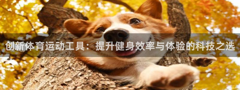 欧亿体育官方正版app开户：创新体育运动工具：提升健