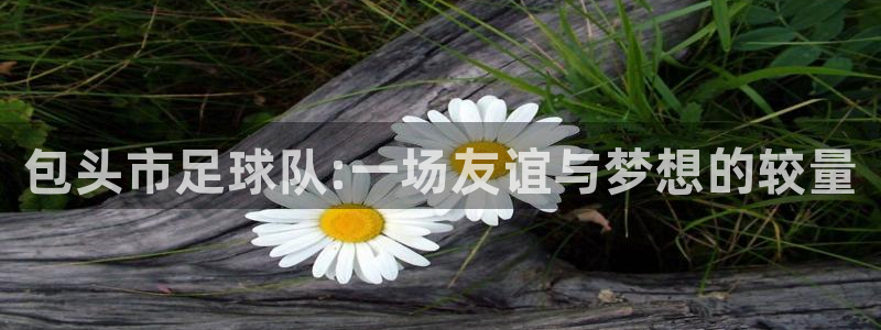 oety欧亿体育官网下载招商电话地址查询：包头市足球