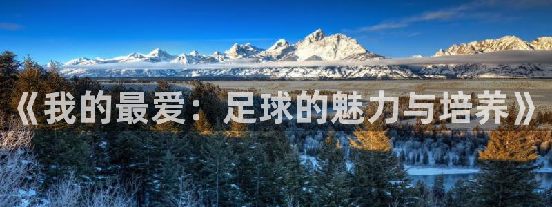 oety欧亿体育官网下载平台是正规平台吗安全吗：《我