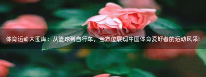 欧亿体育官方正版app娱乐代理怎么样：体育运动大图库