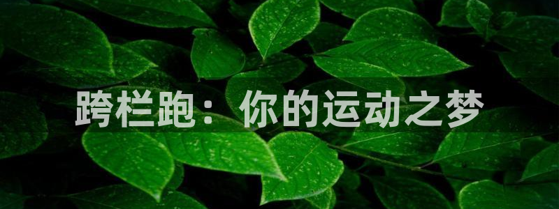 德国欧亿体育官方正版app集团：跨栏跑：你的运动之梦