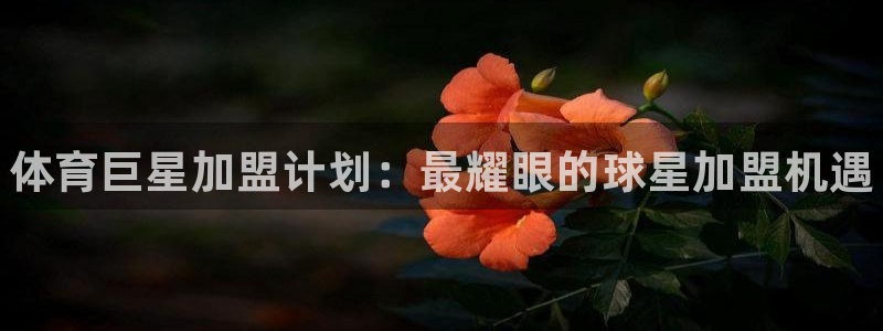 欧亿体育官方平台体育：体育巨星加盟计划：最耀眼的球星