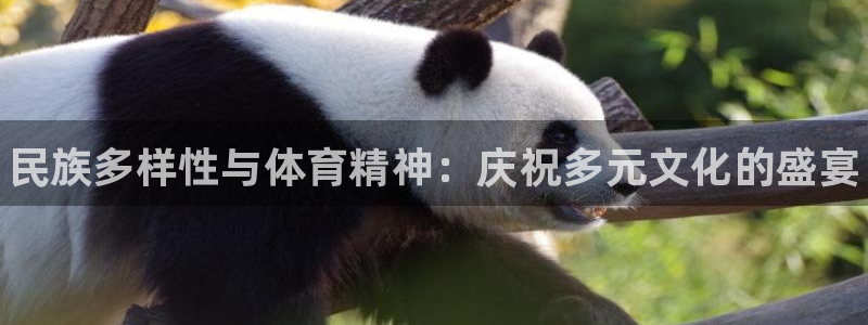 oety欧亿体育官网下载招商电话是多少号码：民族多样
