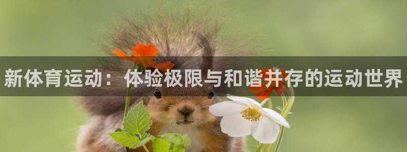 oety欧亿体育官网下载平台：新体育运动：体验极限与