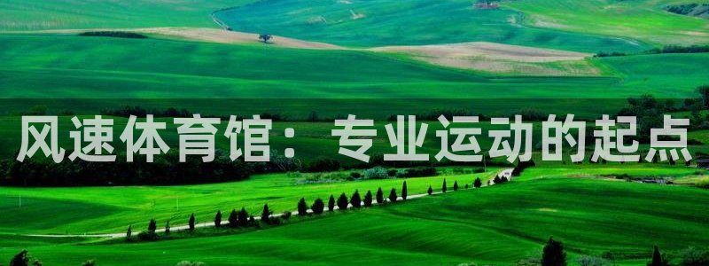 欧亿体育官方正版app五金厂：风速体育馆：专业运动的