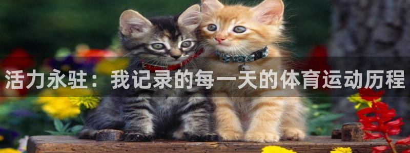 oety欧亿体育官网下载：活力永驻：我记录的每一天的体育运动