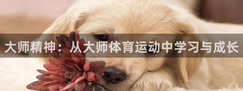 欧亿体育官方正版app新能源：大师精神：从大师体育运动中学习