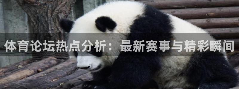 oety欧亿体育官网下载平台注册流程视频：体育论坛热点分析：