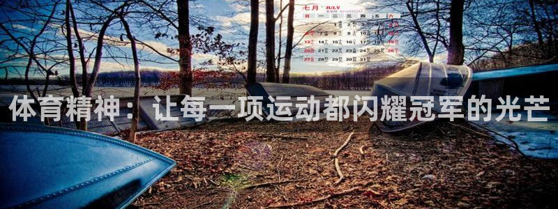 欧亿体育官方正版app娱乐首页网站大全：体育精神：让每一项运