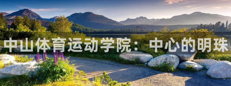 oety欧亿体育官网下载平台假的吗是真的吗