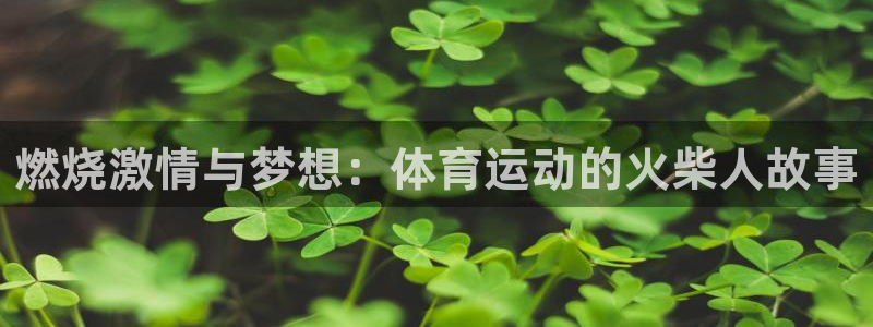 欧亿体育官方正版app集团E.ON：燃烧激情与梦想：
