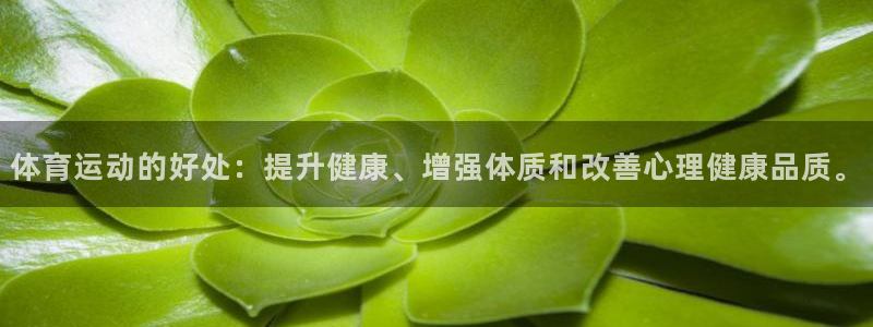 欧亿体育官方正版app集团：体育运动的好处：提升健康、增强体
