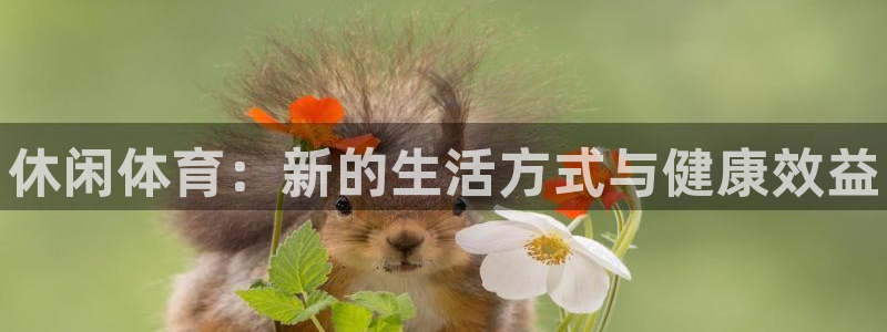 欧亿体育官方正版app集团简介：休闲体育：新的生活方式与健康