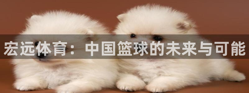 欧亿体育官方正版app科技：宏远体育：中国篮球的未来与可能