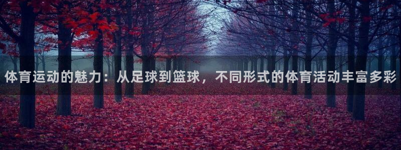 欧亿体育官方正版app新能源：体育运动的魅力：从足球到篮球，