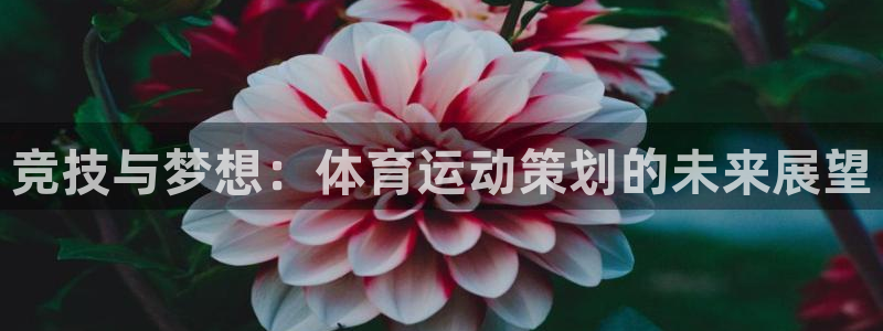 欧亿体育官方正版app官方