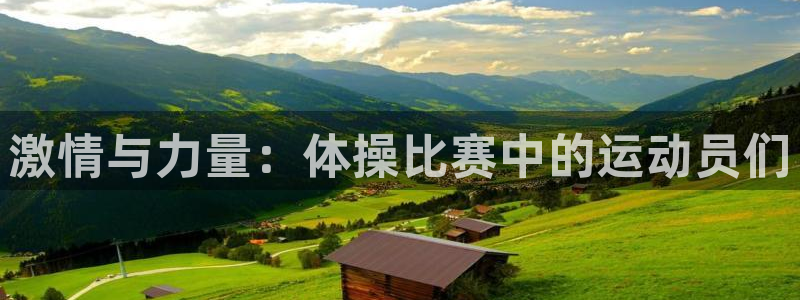 oety欧亿体育官网下载平台