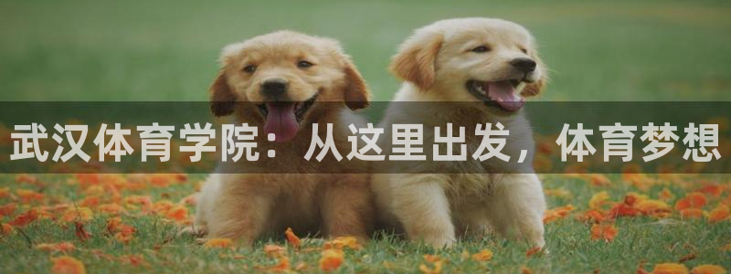 海南oety欧亿体育官网下载发展怎么样：武汉体育学院：从这里