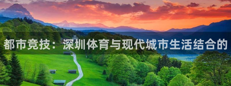 海南oety欧亿体育官网下载发展怎么样：都市竞技：深圳体育与