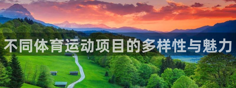 oety欧亿体育官网下载是干嘛的公司：不同体育运动项目的多样
