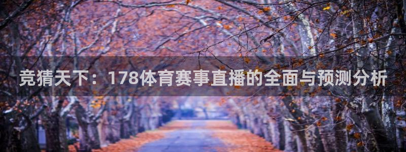 五星体育三打一总决赛：竞猜天下：178体育赛事直播的全面与预测分析