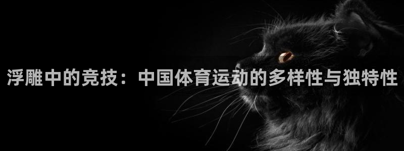 欧亿三娱浗维33 300：浮雕中的竞