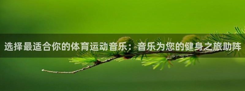 欧亿三娱浗维33 300：选择最适合