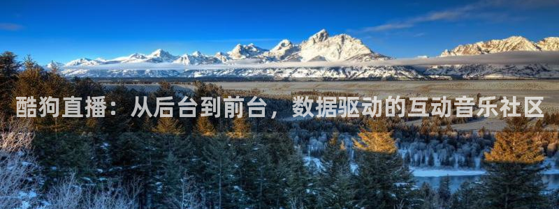 上海五星体育节目：酷狗直播：从后台到前台，数据驱动的互动音乐社区
