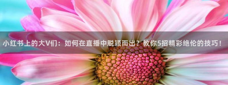 五星体育直播足球比赛：小红书上的大V们：如何在直播中脱颖而出？教你5招精彩绝伦的技巧！