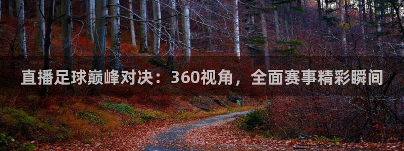 五星体育在哪直播：直播足球巅峰对决：360视角，全面赛事精彩瞬间