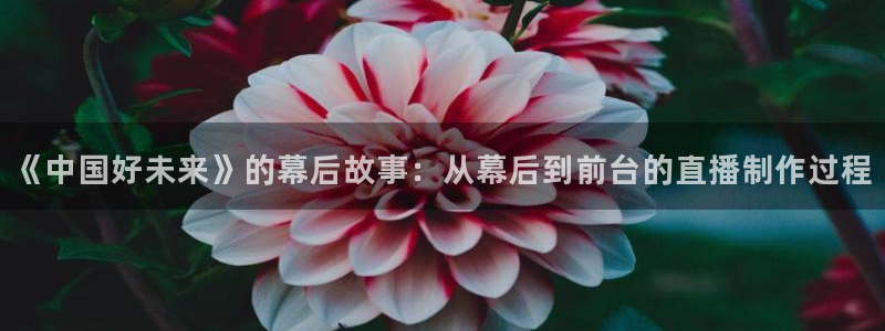 上海五星体育电视直播：《中国好未来》的幕后故事：从幕后到前台的直播制作过程